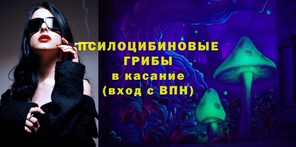 крисы Абаза