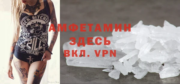 крисы Абаза