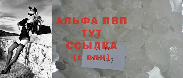 стафф Алексин