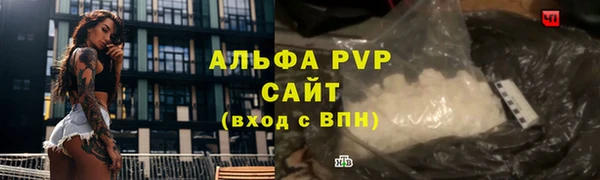 стафф Алексин