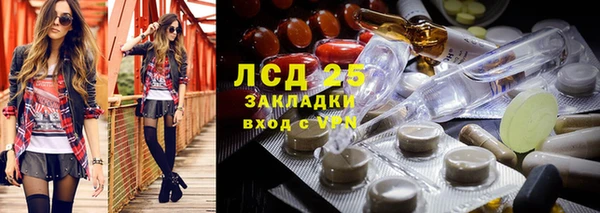 стафф Алексин
