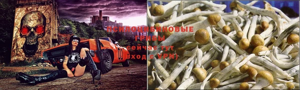 дистиллят марихуана Кодинск