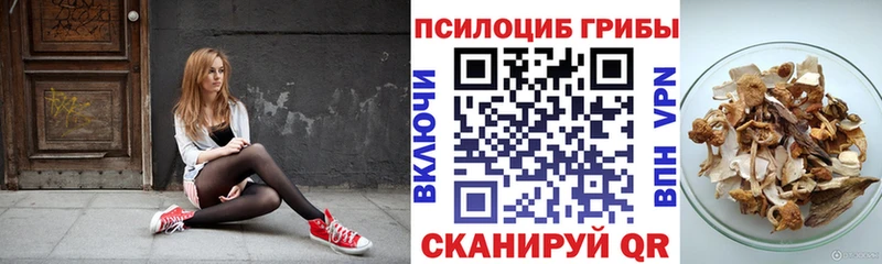 наркошоп  Слюдянка  Псилоцибиновые грибы Psilocybe 