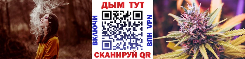 Каннабис план  где можно купить   Слюдянка 